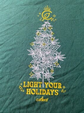 Fruit of the Loom Green Holiday 'Light Your Holidays' Graphic Tee